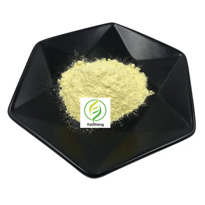 Fornitura all'ingrosso all'ingrosso estratto di Kava polvere di alta qualità estratto di radice di kava 30% kavalattoni Kava radice estratto in polvere
