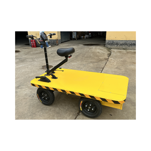 Minicarro de 4 Ruedas con Motor sin Escobillas de 1000W, Plataforma de 100*200cm, Triciclo Portaplacas para Almacén - Product Image 1