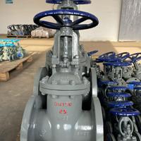 Katup Gerbang Wedge Solid 316/304/CF8/CF8M/Duplex/Hastelloy 6"/8"/10"/12" DN150/DN200/DN250/DN300 Kelas 300 RF