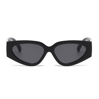 Lunettes de soleil oeil de chat à la mode pour femmes décontracté à la mode UV400 PC cadre haute qualité couleur transfrontalière correspondant nouveauté