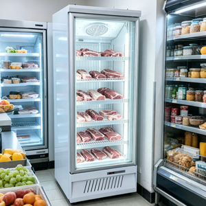 <span class=keywords><strong>Congelador</strong></span> <span class=keywords><strong>vertical</strong></span> de alta calidad con puerta de vidrio, desempañamiento automático y refrigeración por aire para carne y helados, <span class=keywords><strong>vitrina</strong></span> para supermercados - Product Image 6