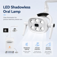 OliveVet Compresseur d'air électrique mobile sur chariot, Moniteur, Endoscope, Pièce à main, Unité dentaire vétérinaire portable pour chien