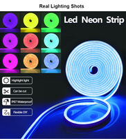 Bande LED RGB 5M, étanche IP65, en PVC, compatible WiFi, synchronisation musicale, décoration paysagère DIY