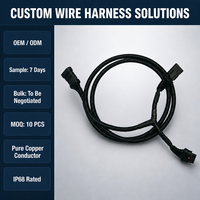 Harnais de câblage personnalisables OEM ODM, câbles de connexion automobile, cordons d'alimentation, harnais de câblage pour robots, harnais de câblage moteur