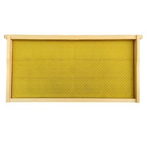 Marcos para Colmenas de Abejas con Base de Cera Estampada - Product Image 1