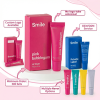 Ensemble de baumes à lèvres à la saveur de fruits avec logo personnalisé, infusé de sucre, rose, 10g*2, crème hydratante pour les lèvres, effet repulpant