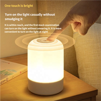 Lámpara de Noche Portátil con Carga USB Tipo-C, Batería Integrada, Brillo Ajustable, Diseño Moderno para