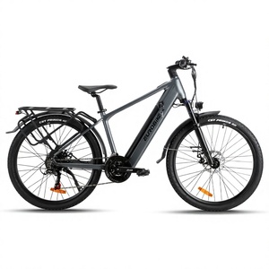 Nouveau VTT électrique EUROBIKE 500W 750W avec porte-bagages arrière, batterie lithium 48V, vélo électrique pour adultes, livraison DDP aux États-Unis - Product Image 1