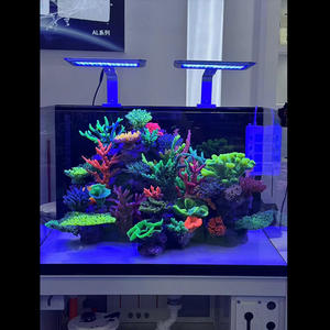 Pecera de Acrílico Pequeña, Irrompible, de Corte CNC, Ultra Clara, a <span class=keywords><strong>Precio</strong></span> Competitivo, Perfecta para Uso Doméstico - Product Image 2