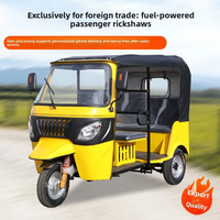 Tricycle Dudu, modèle le plus vendu, vente directe usine, pour le tourisme en Asie du Sud-Est