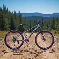 Vélo VTT VTT Frein à Disque 21 Vitesses 26 Pouces Personnalisable en Stock Usine pour Adulte