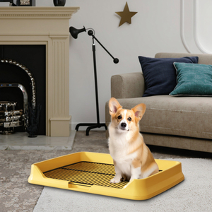 Hot Selling Indoor <strong>Pet</strong> <strong>Potty</strong> Tray Plastic <strong>Dog</strong> Wee Pee Pads for Training for <strong>Park</strong> Corner <strong>Dog</strong> Toilet Training - Product Image 1