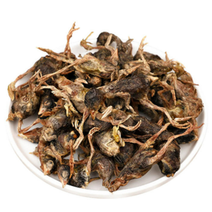 סיטונאי בהקפאה מזון מזון כלבים מיובש בהקפאה שלילה מזון יבש - Product Image 6