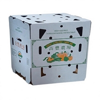 Voedselveilige, met was geïmpregneerde, gegolfde 330GSM kraft waterdichte op maat gemaakte kartonnen doos voor koudeketen vlees, fruit en groenten