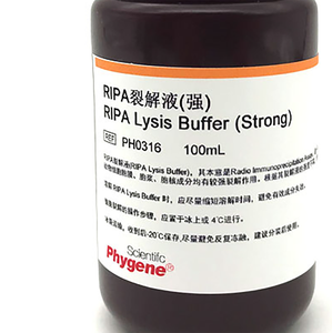 Reagente Chimico - Buffer di Lisi <span class=keywords><strong>RIPA</strong></span> (Potente) 100mL - Product Image 2