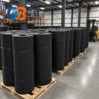 Planche de drainage composite avec géotextile de haute qualité résistant aux perforations pour le drainage des fondations des murs de sous-sol