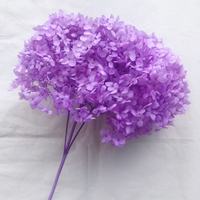 Bunga asli musim gugur dikelantang alami kualitas tinggi bunga Hortensia asli yang diawetkan Hydrangea dengan batang