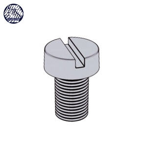 Din84 Titan gr2 rãnh đầu phô mai chống ăn mòn vít titan - Product Image 3