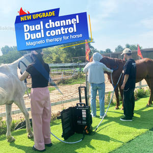 Macchina magnetica per fisioterapia portatile Pemf veterinaria a doppio canale per alleviare il dolore - Product Image 1