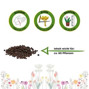 Farmhouse Organic Vegetable Garden <span class=keywords><strong>Kohlrabi</strong></span> Semear Pacote Planta Kit para Super Derretimento Sementes para Plantar Indoor/Outdoor para os Amantes - Product Image 3