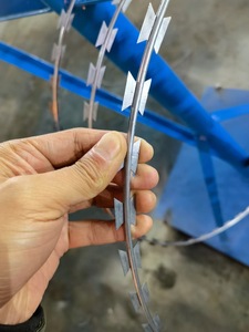 Vente directe usine : Fil barbelé <span class=keywords><strong>concertina</strong></span> anti-escalade à lames rasoir, galvanisé à chaud - Product Image 2