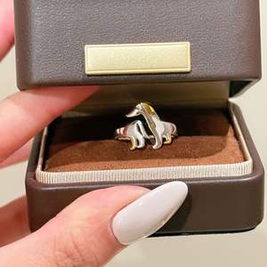 Anillo de Plata de Ley S925 con Diseño de Perro Salchicha con Orejas Grandes, Diseño Artístico Moderno, Curativo, Lindo y Divertido, Separación de Colores, Incrustación Neutral - Product Image 3