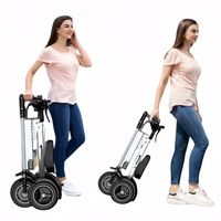 Tricycle électrique à 3 roues léger et pliable avec batterie au lithium, moteur sans balais en alliage d'aluminium, carrosserie ouverte, 25 km/h