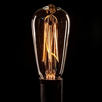 Guirlande lumineuse de noël avec ampoules edison vintage, 110v, ST38/40, chaîne de lumière pour décoration, meilleure vente