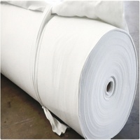Tissu non tissé aiguilleté en polyester PET 150g 200g 400gsm pour la gestion de l'eau et les géotextiles routiers