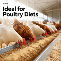 Poudre de levure inactif, protéines brutes 35%-50%, humidité ≤9%, cendres ≤8%, améliore la nutrition des aliments et stimule l'appétit des animaux