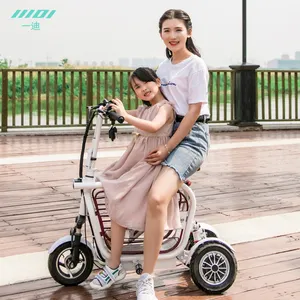 3 wheel electric with LCD display Electric Bicycle for kids or dog