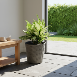 Jardinière intelligente en osier à arrosage automatique et rond gris de 10.2 pouces pour jardinières et pots décoratifs intérieurs et extérieurs - Product Image 2