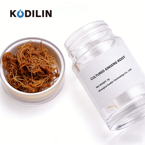 Kodilin Space Breeding Tech 100g Penguat Glukogen Anti-Kelelahan Efikasi Tinggi Akar <span class=keywords><strong>Ginseng</strong></span> Segar - Product Image 1