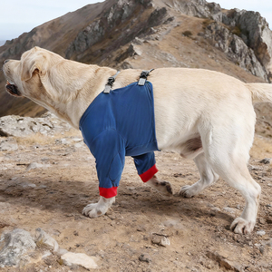 Gilet pour pattes avant de chien avec protection des coudes - Couvre-pattes en coton doux pour chiens de petite, moyenne et grande taille - Product Image 5