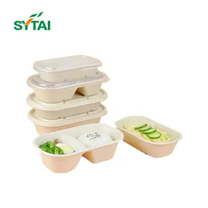 Biologisch abbaubare Fast-Food-Zuckerrohr-Zellstoff behälter Papier Quadratische Salat behältersc halen Bagasse-Papier-Brotdose