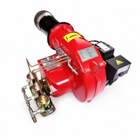 Brûleur industriel WANHENG RSJ haute efficacité 10000-20000 W en aluminium, application multifonctionnelle, nettoyage facile, 220-240V, neuf