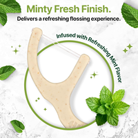 Cure-dents écologiques en bambou à la menthe, marque Richsource, vente directe d'usine, cure-dents dentaires avec manche en PLA de qualité alimentaire pour les soins bucco-dentaires