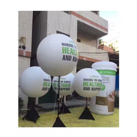 Ballons gonflables géants personnalisés en PVC de grande taille pour la publicité, OEM/ODM, imprimés, pour l'affichage en extérieur