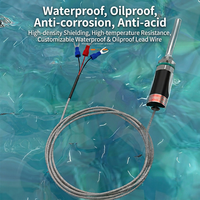 Sonde de température à résistance en platine Pt100 WZP-187, étanche, haute précision, résistante à la chaleur, sonde de détection