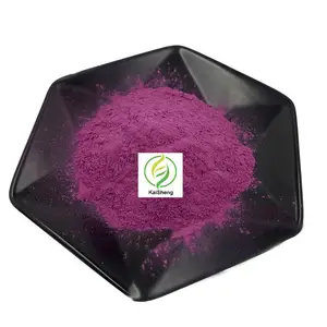 Kaisheng Supply Competitive Price Grape Skin Extract Polyphenols Powder Polyphenols 30% Anti-aging