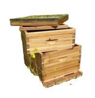 Matériel d'apiculture de haute qualité à prix abordable, ruche Langstroth avec revêtement en cire