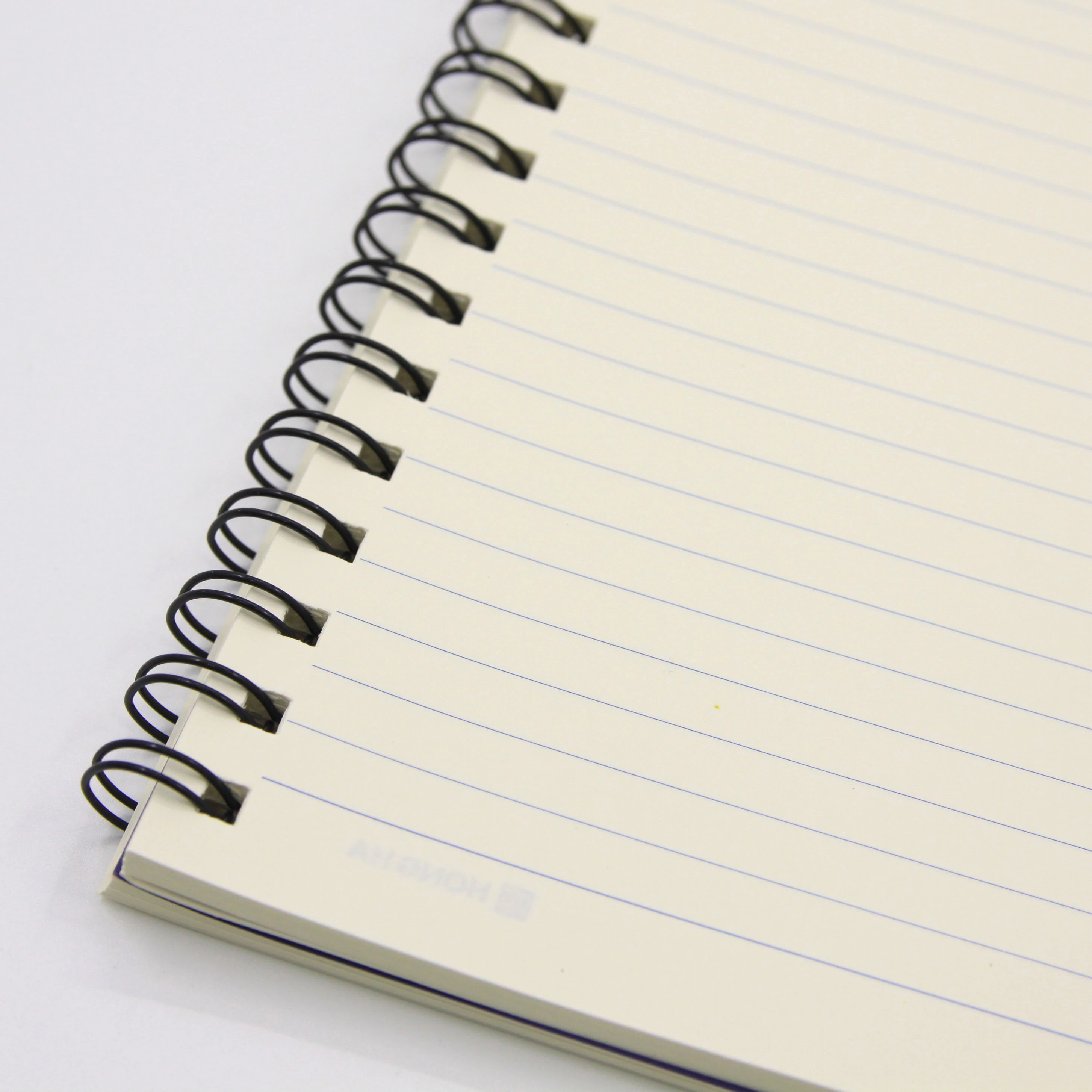 สีสันที่หลากหลายและสดใส