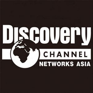 Pegatinas de PVC para coche OEM a precio económico, calcomanías de vinilo troqueladas con letras transferibles - Product Image 4