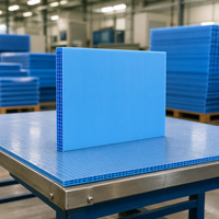 Panneau creux en PP imperméable pour la protection industrielle, feuille de plastique ondulé durable pour la construction et l'emballage
