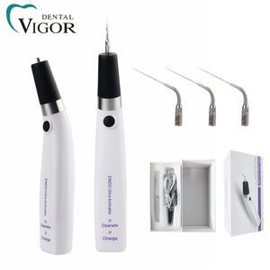 Activateur Irrigateur Endodontique Sans Fil Rechargeable en Gros pour Clinique Dentaire et Traitement des Canaux Radiculaires - Product Image 1