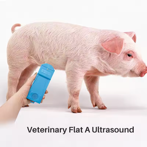 Offre Spéciale Portable vétérinaire truie A-échographie Test de grossesse ultrasons détecteur de grossesse cochon testeur de grossesse - Product Image 4
