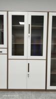 Mobilier de bureau personnalisé Armoires de rangement pour documents Armoire de classement de bureau en verre et métal