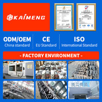 Bomba de paletas rotativas trifásica de alta eficiencia 202m/h con motor de CC 6L de aceite KMVP-202 380V KaiMeng OEM para succión hospitalaria y accesorios CNC