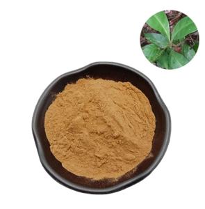 En iyi fiyat yüksek kalite ücretsiz örnek Kacip Fatimah özü tozu satışa - Product Image 1