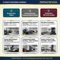 Zhongchengda: Stampaggio a Iniezione di Precisione per Parti in Plastica di Forme Diversificate per Automobili ed Elettronica, Cina